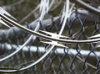 Razor wire