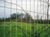 Netherlands wire mesh