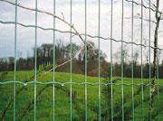 Netherlands wire mesh