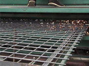 Reinforced welded wire mesh