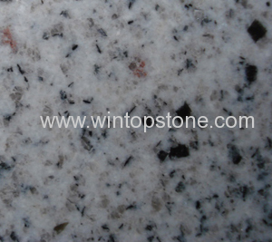 Grey White Granite ZMB2