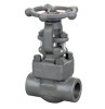 Female threaded and socket welded gate valves