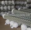 Stainless Steel Chain link fence