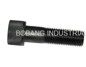 Cylinder Head Bolt