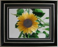 hand embroidery sunflower