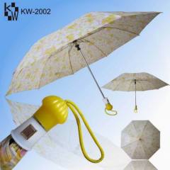 Two-folding Auto Rain Umbrella