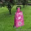 Pink Color Shopping Carts