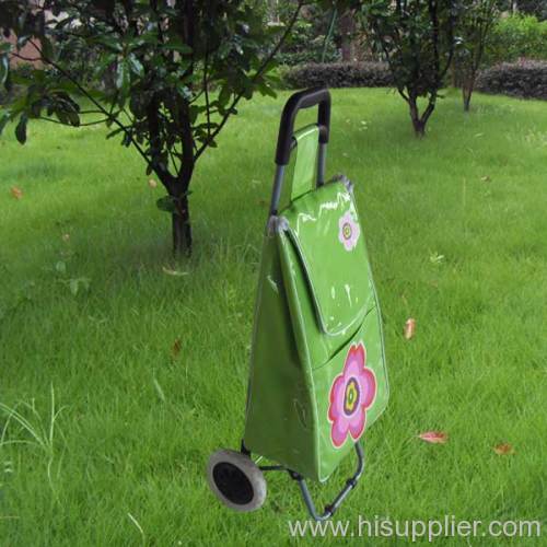 Green Shopping Bag Trolley