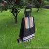 Folding Wire Shopping Cart Bag