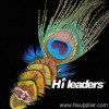 Decorative Feather Headcraft
