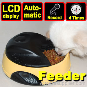 Pet Dog Cat Feeder