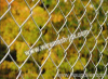 Galvanized Chain Link Fence