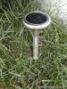 solar lawn light