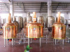 1000l Hotel Brewing Equipment