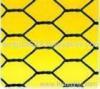 Hexagonal Wire Mesh