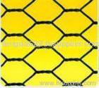 Hexagonal Wire Mesh