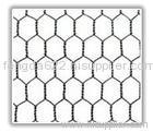 Hexagonal wire mesh