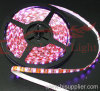 Led Strip