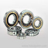 INA cylindrical roller bearings