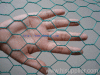 PVC Coated Hexagonal Wire Mesh