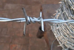 Galvanized Barbed Wire