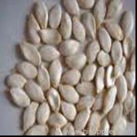 Pumpkin seed extract