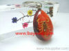 man made insect amber keychains,keyring,key ring