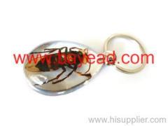 real wasp inside man made insect amber keychains,key ring