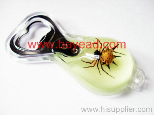 insect amber bottle opener,can opener