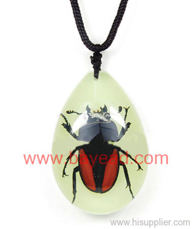 real beetle in man made insect amber necklace pendant Fashional Jewelry