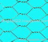 Hexagonal Wire Mesh