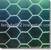 Hexagonal Wire Mesh