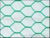 Hexagonal Wire Mesh