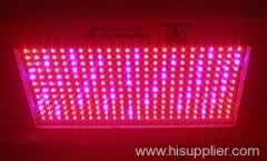 led grow light