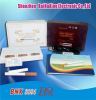 Electronic Cigarette