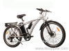 EU standard electric mountain bicycle
