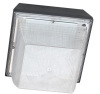 LED Flood Light