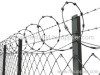 Barbed Wire