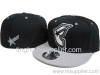 fashion sport hats