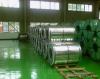 cold rolled grained silicon steel coil