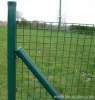 PVC wire mesh fencing