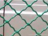 Beautiful Grid Wire Mesh