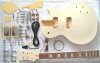 LP Electric Guitar KITS