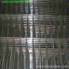 Welded Wire Mesh