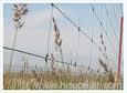 Farm And Ranch Fence