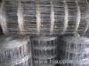 woven wire field fence