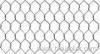 Galvanized Chicken Wire Mesh