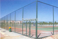 Fenceing Wire Mesh