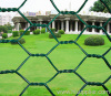 hexagonal wire netting