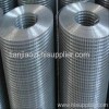 stainless steel welded wire mesh